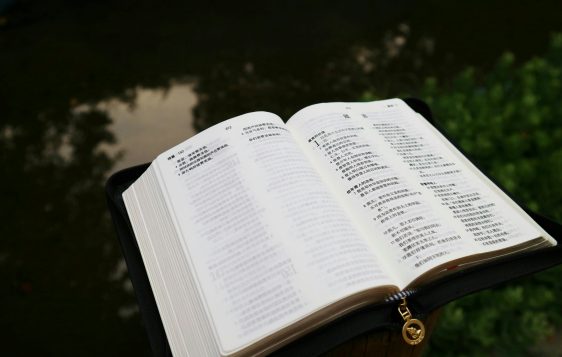 An open Chinese book resting outdoors by a reflective pond with lush greenery.