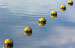 Yellow buoys floating on tranquil water reflecting the sky, creating a serene atmosphere.